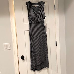 Cabi Maxi Dress